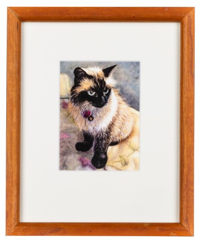 Namaste, Siamese cat