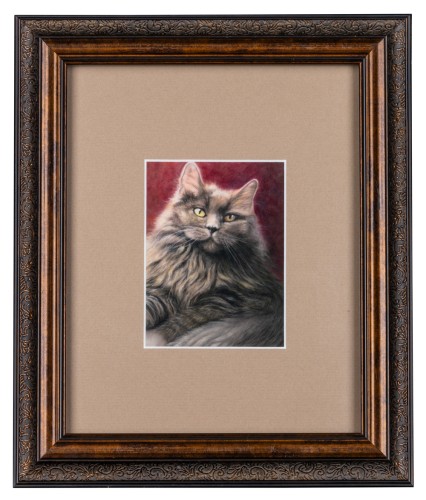 Shadow, grey cat 3