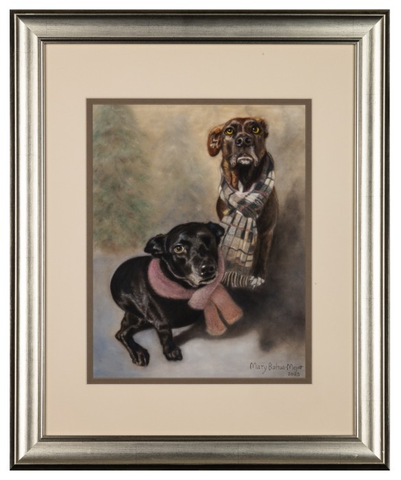 Mr. Bones & Petra (the one-eyed dog), dogs