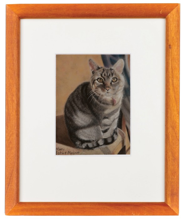 Maybelle, tiger-striped cat